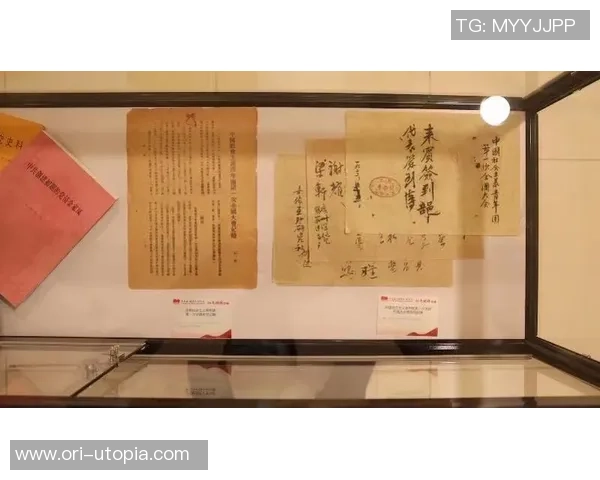 广州飞盘队个人能力提升之路与团队协作的完美结合探讨