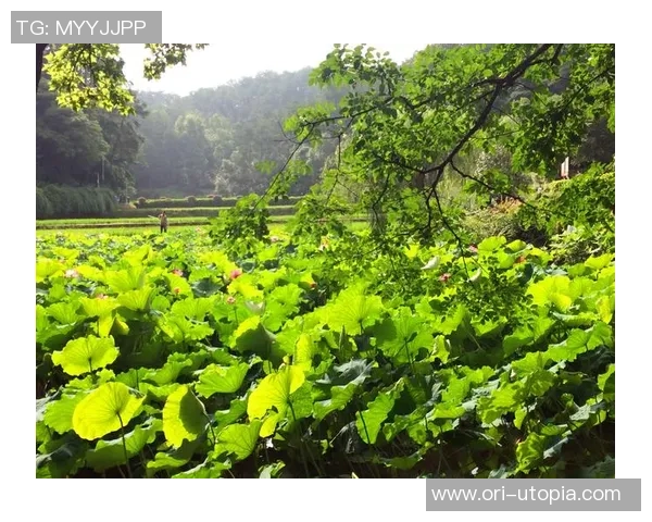 深度对话：杨丽如何在DOTA2世界中追寻梦想与成长